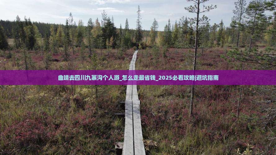 曲靖去四川九寨沟个人游