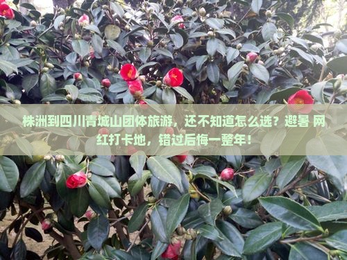 株洲到四川青城山团体旅游