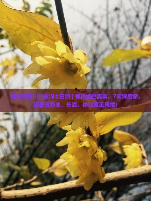 包头到四川九寨沟七日游