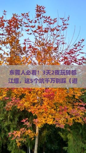 东莞到四川都江堰旅行社