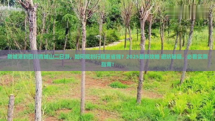 防城港到四川青城山二日游 防城港到四川青城山二日游