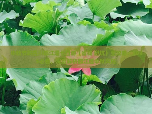 中秋节到四川都江堰七日游