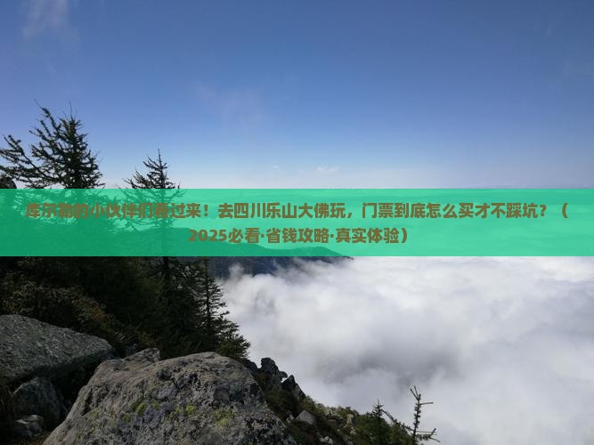 库尔勒去四川乐山大佛门票