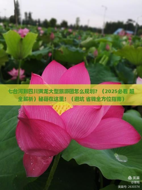 七台河到四川黄龙大型旅游团