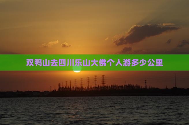 双鸭山去四川乐山大佛个人游