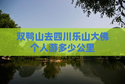 双鸭山去四川乐山大佛个人游