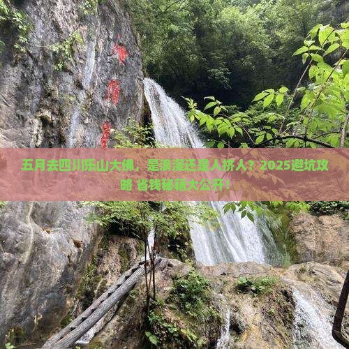 五月到四川乐山大佛旅游