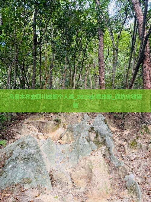 乌鲁木齐去四川成都个人游