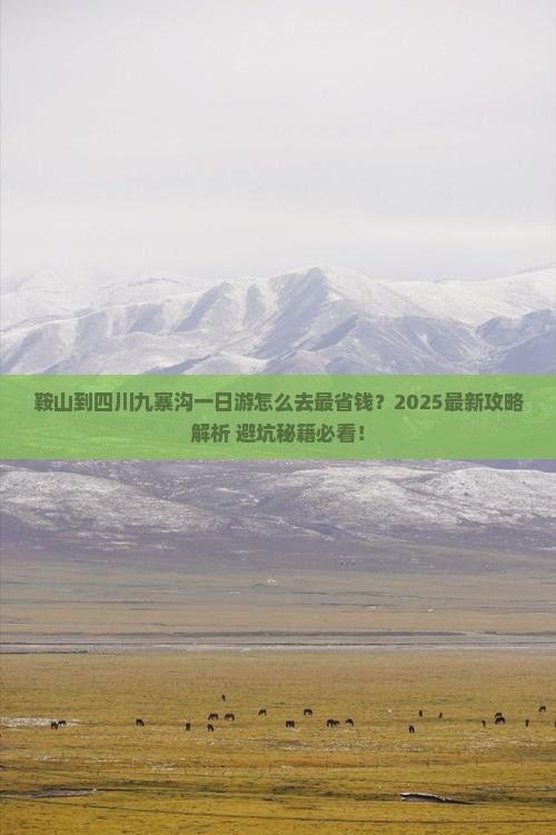 鞍山到四川九寨沟一日