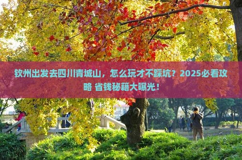 钦州去四川青城山旅行社
