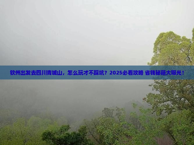 钦州去四川青城山旅行社