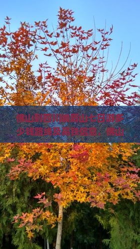 佛山到四川峨眉山七日游