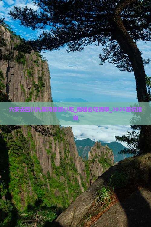 六安去四川九寨沟旅游小吃