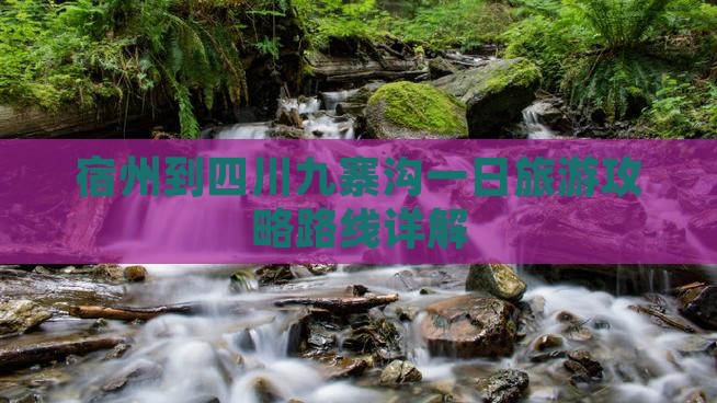 宿州到四川九寨沟一日