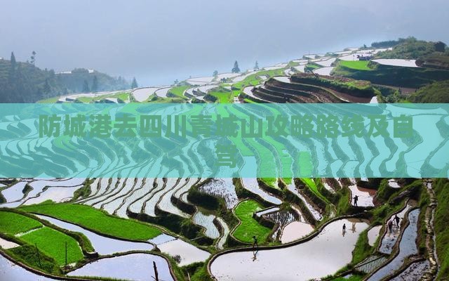 防城港去四川青城山攻略