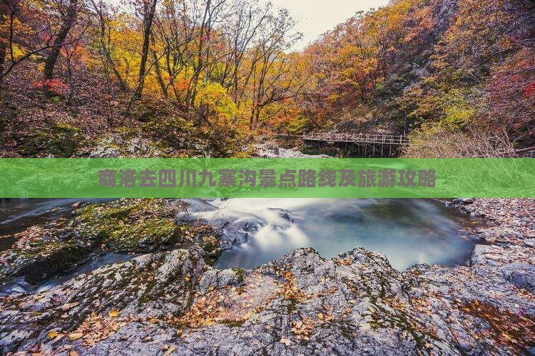商洛去四川九寨沟景点