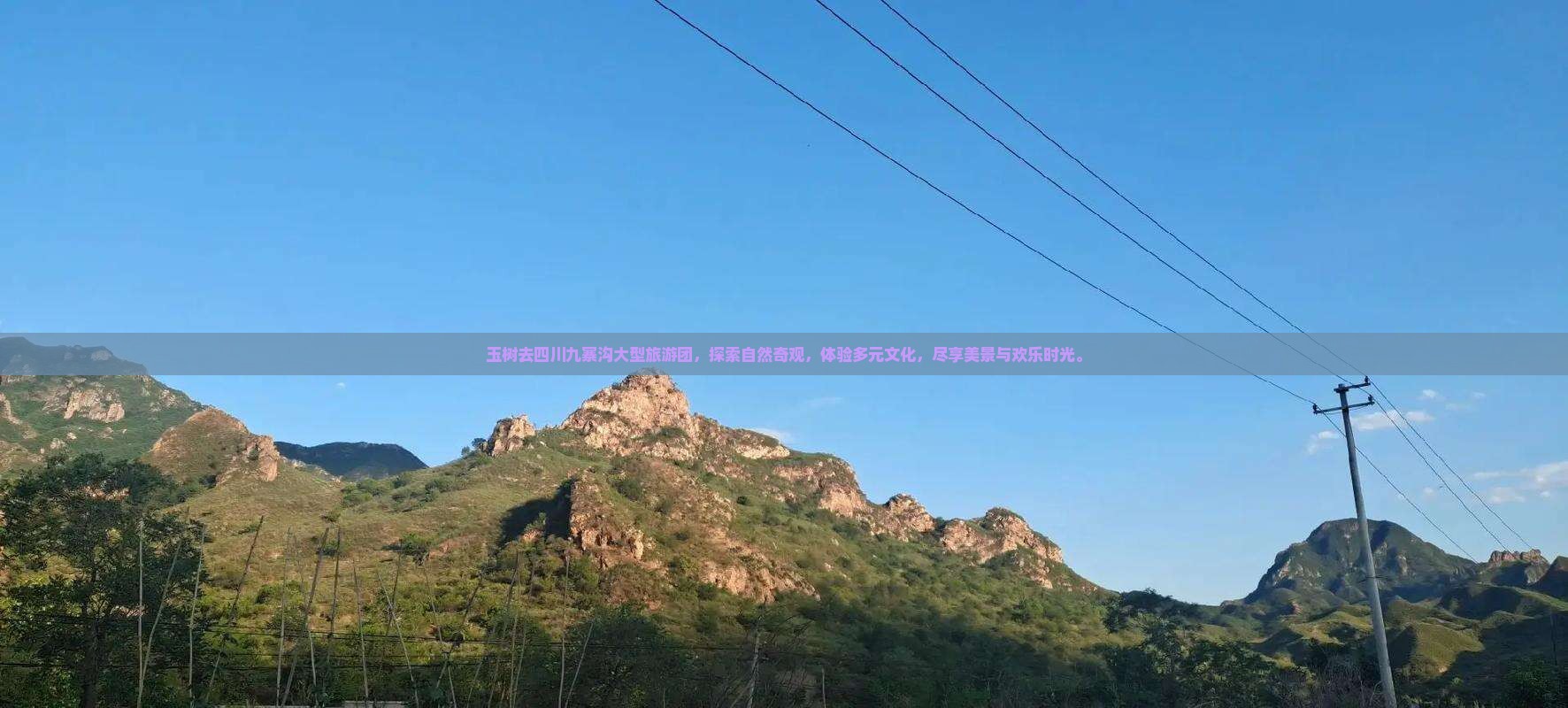 玉树去四川九寨沟大型旅游团