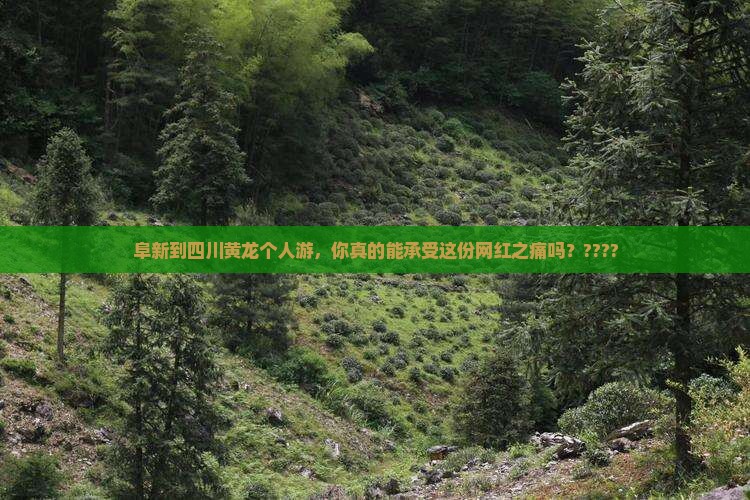 阜新到四川黄龙个人游