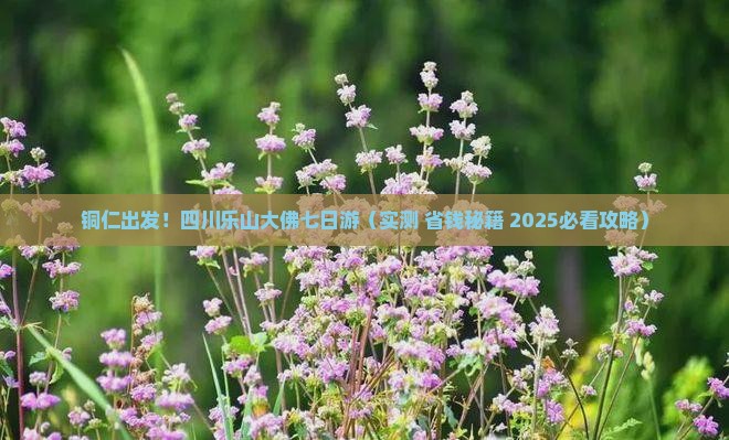 铜仁到四川乐山大佛七日游