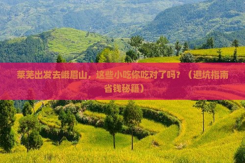 莱芜到四川峨眉山旅游小吃