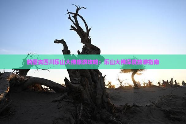 鹤壁去四川乐山大佛旅游