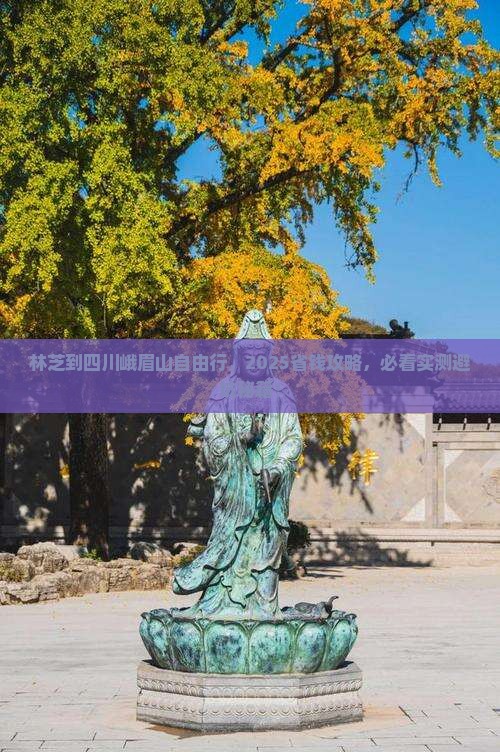 林芝到四川峨眉山自由团 林芝到四川峨眉山自由团