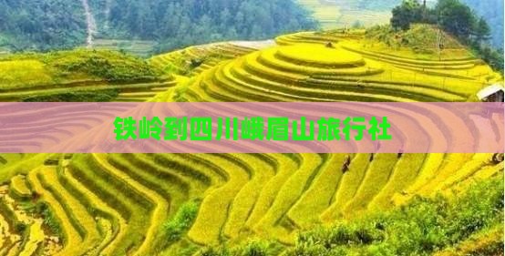 铁岭到四川峨眉山旅行社