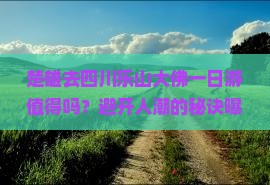 楚雄去四川乐山大佛一日