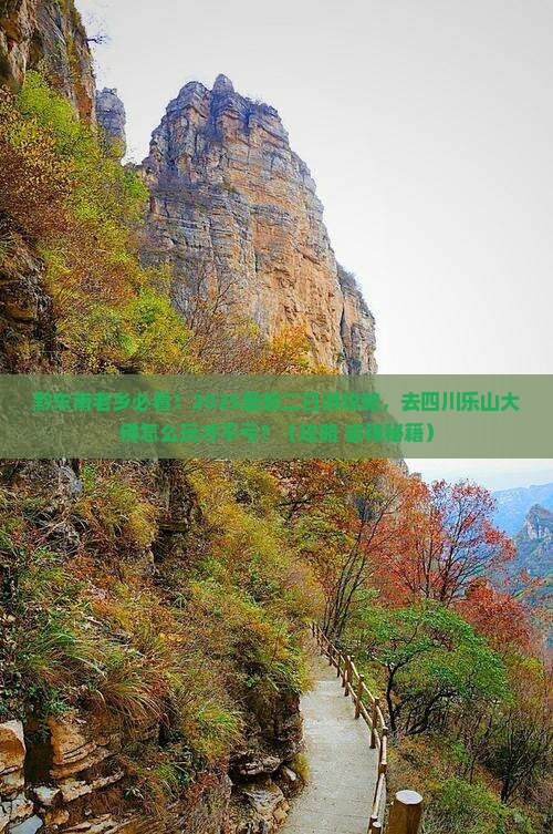 黔东南到四川乐山大佛二日游 黔东南到四川乐山大佛二日游