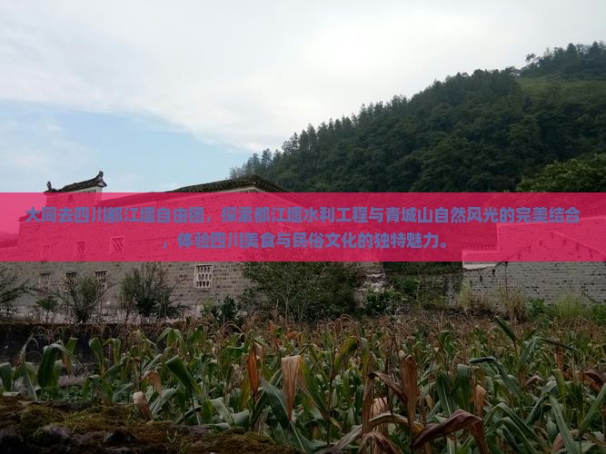 大同去四川都江堰自由团