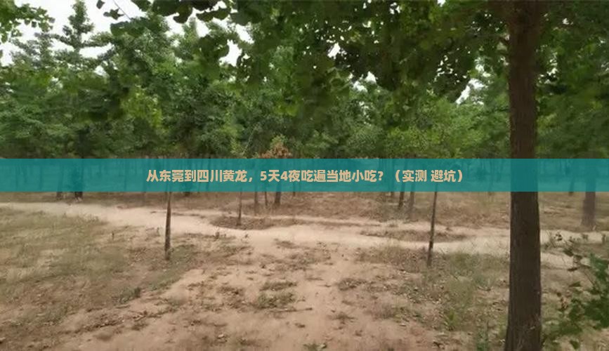 东莞到四川黄龙旅游小吃