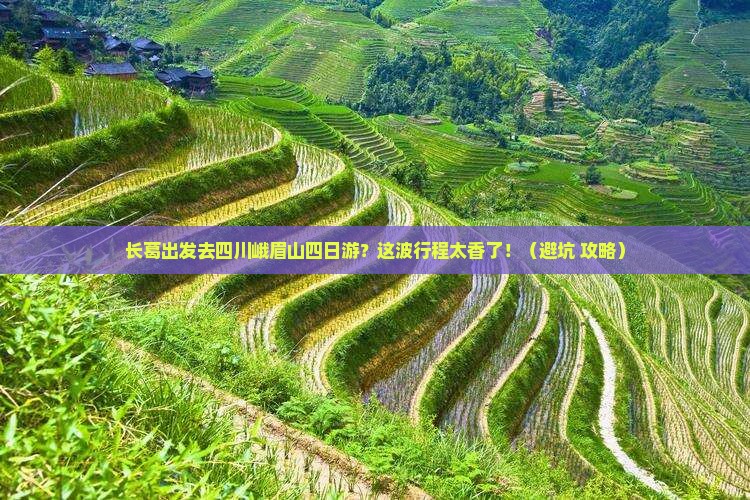 长葛去四川峨眉山四日游
