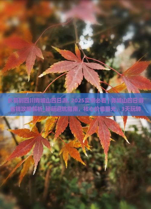 长葛到四川青城山四日游