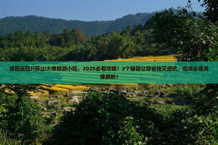 洛阳去四川乐山大佛旅游小吃