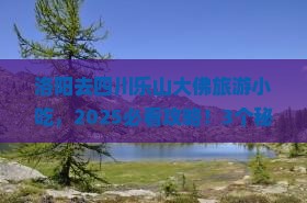 洛阳去四川乐山大佛旅游小吃