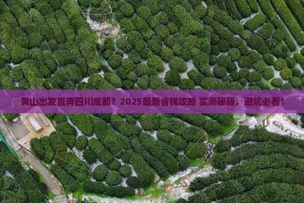 黄山去四川成都旅行社