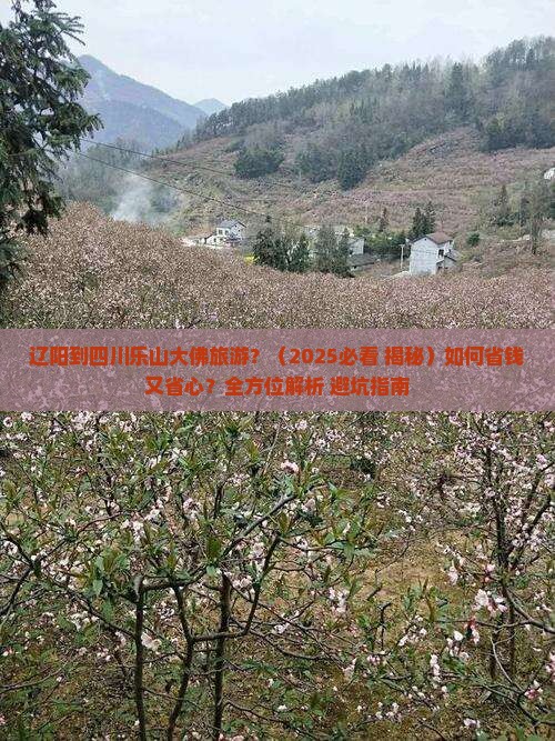 辽阳到四川乐山大佛旅游