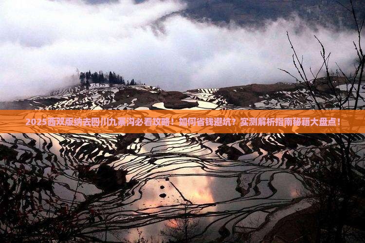 西双版纳去四川九寨沟攻略