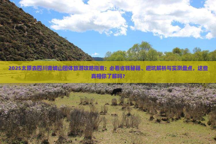 太原去四川青城山团体旅游