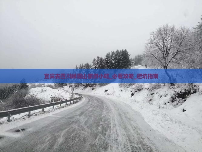 宜宾去四川峨眉山旅游小吃