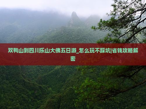 双鸭山到四川乐山大佛五日游