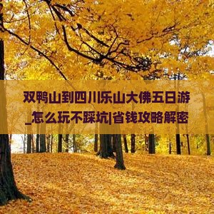 双鸭山到四川乐山大佛五日游