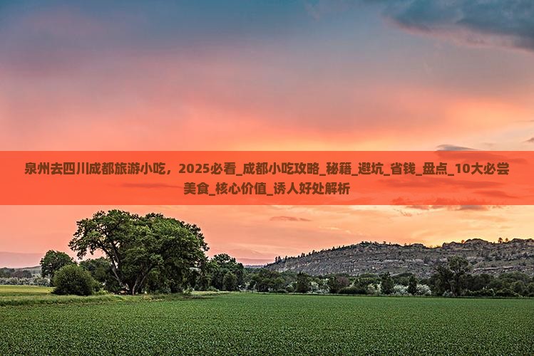 泉州去四川成都旅游小吃