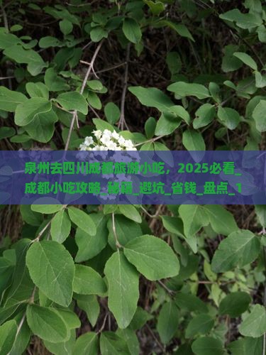 泉州去四川成都旅游小吃