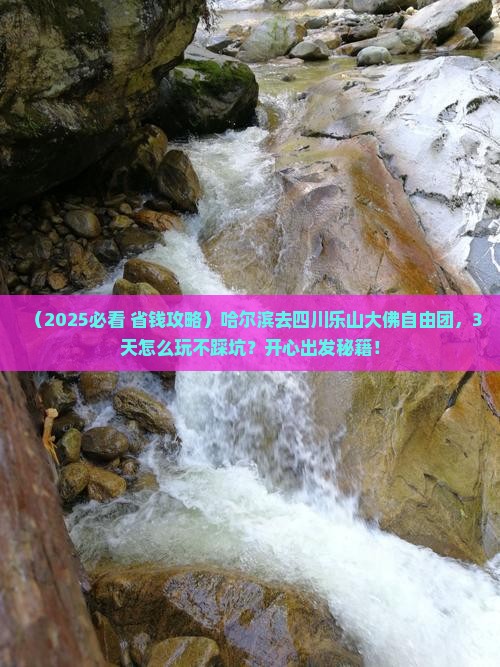 哈尔滨去四川乐山大佛自由团