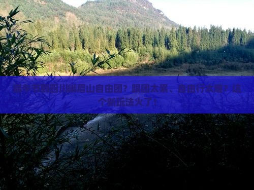 端午节到四川峨眉山自由团
