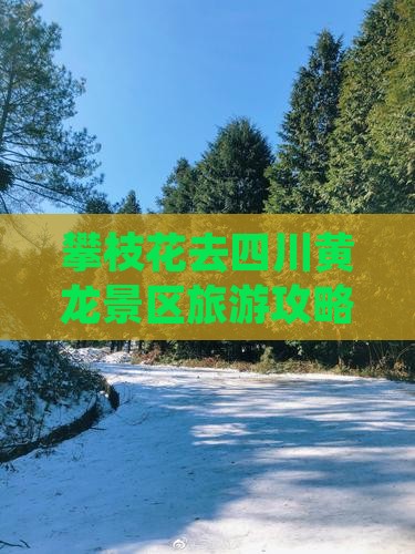 攀枝花去四川黄龙门票