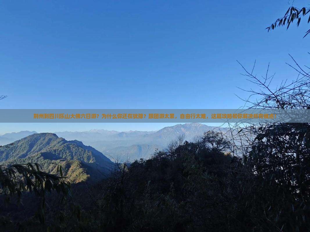 荆州到四川乐山大佛六日游