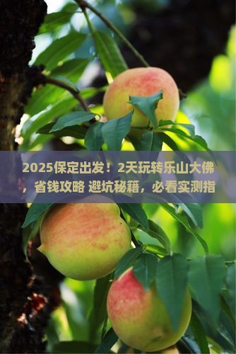 保定到四川乐山大佛二日游