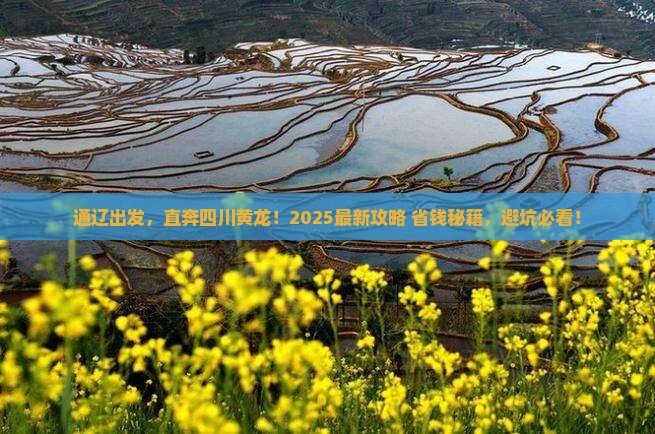 通辽市去四川黄龙旅游
